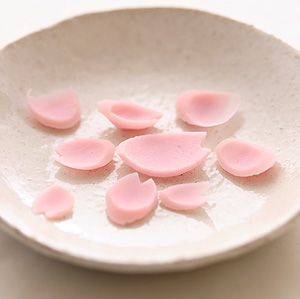 桜のはなびらと桜貝