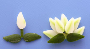 花束　野菜とかまぼこ　飾り切り
