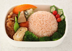 きょうの料理 ビギナーズ 11月号 はつえさん弁当