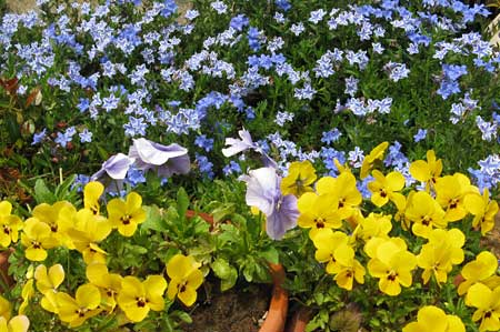 2011-05hana_5056