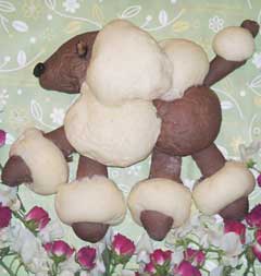 20110517syo-jikun4