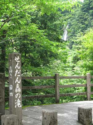 博多天神大丸百貨店のデモンストレーション