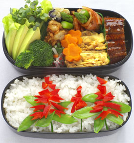 真夏のお弁当 サルビア