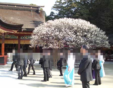 菅原神社 飛び梅