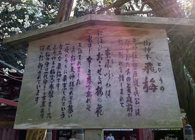 菅原神社 飛び梅