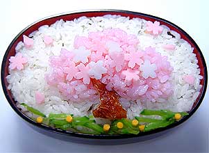 桜の古木弁当