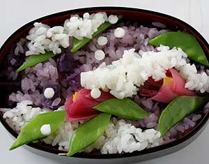 椿弁当