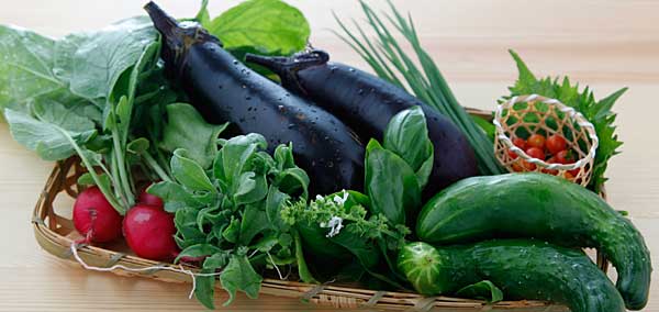 過去の栄光 – 自家製野菜のサラダ