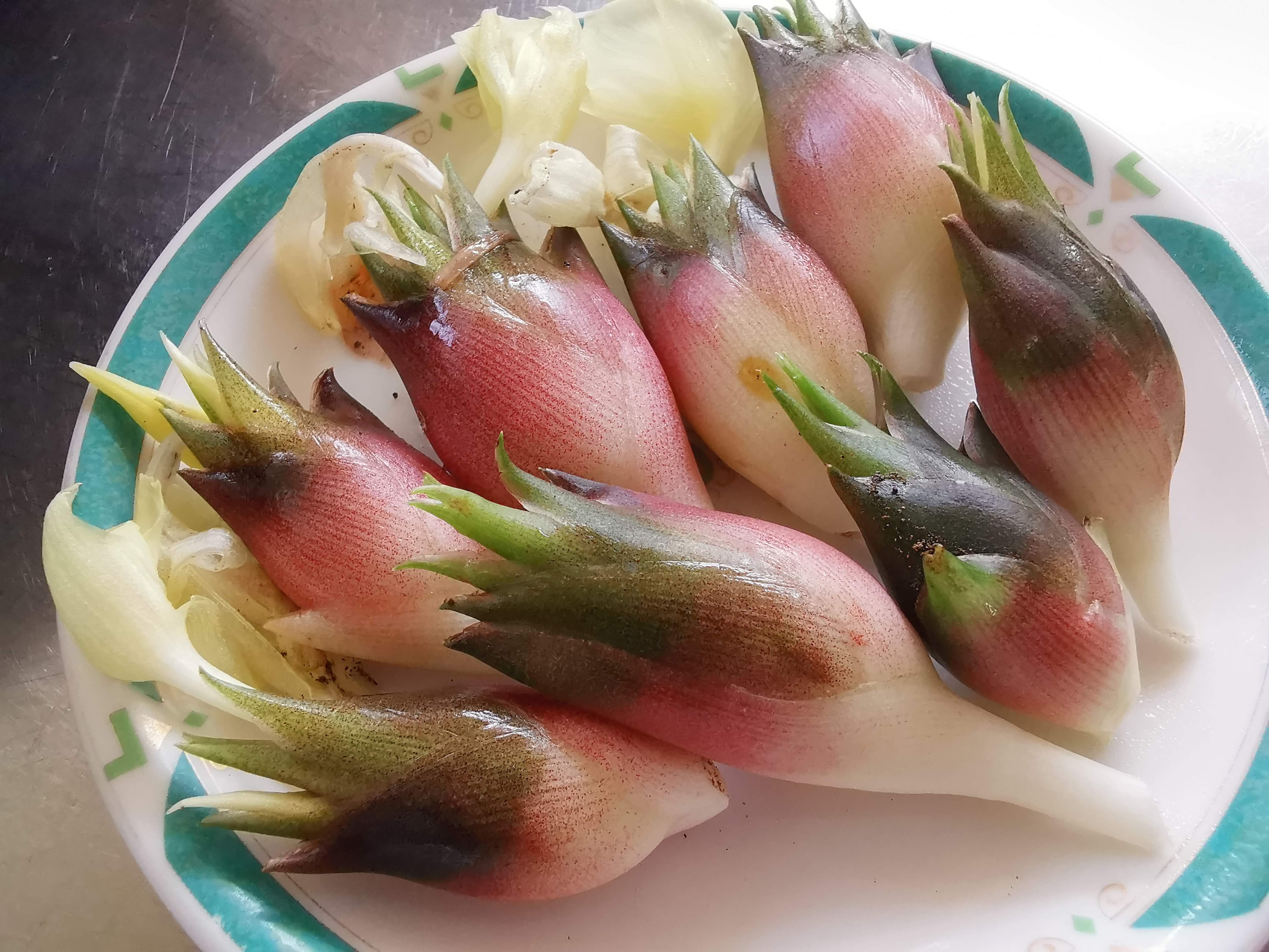 今年は見逃さずに茗荷(みょうが)を収穫！