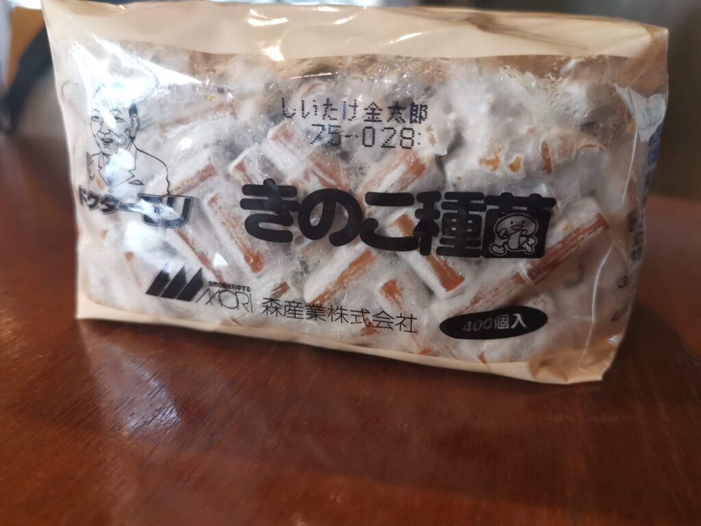 山の暮らし・ついにシイタケの原木を立てました！