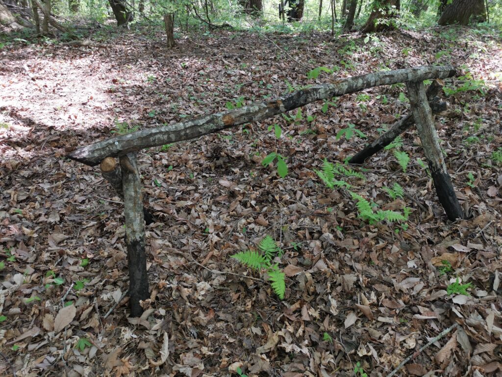 山の暮らし・ついにシイタケの原木を立てました！