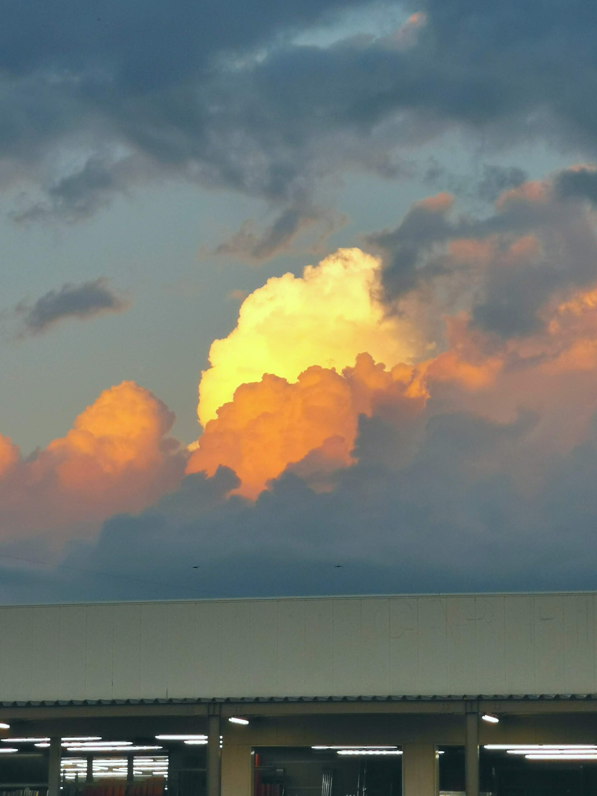 森の暮らし・夕空に啓示が！？