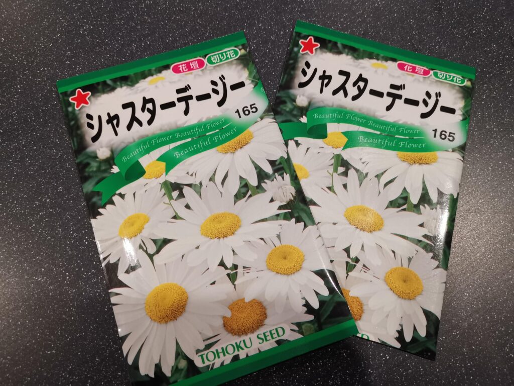 宿根草さがし!シャスターデージー量産計画?