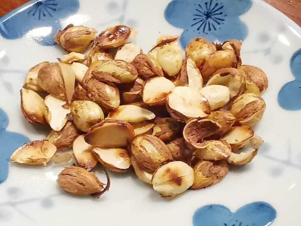 森の暮らし・ヘーゼルナッツ収穫しました!