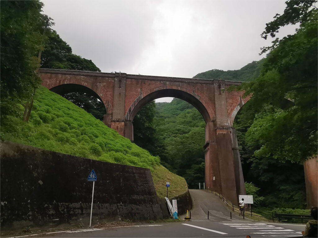 野生のホップみつけちゃいました！