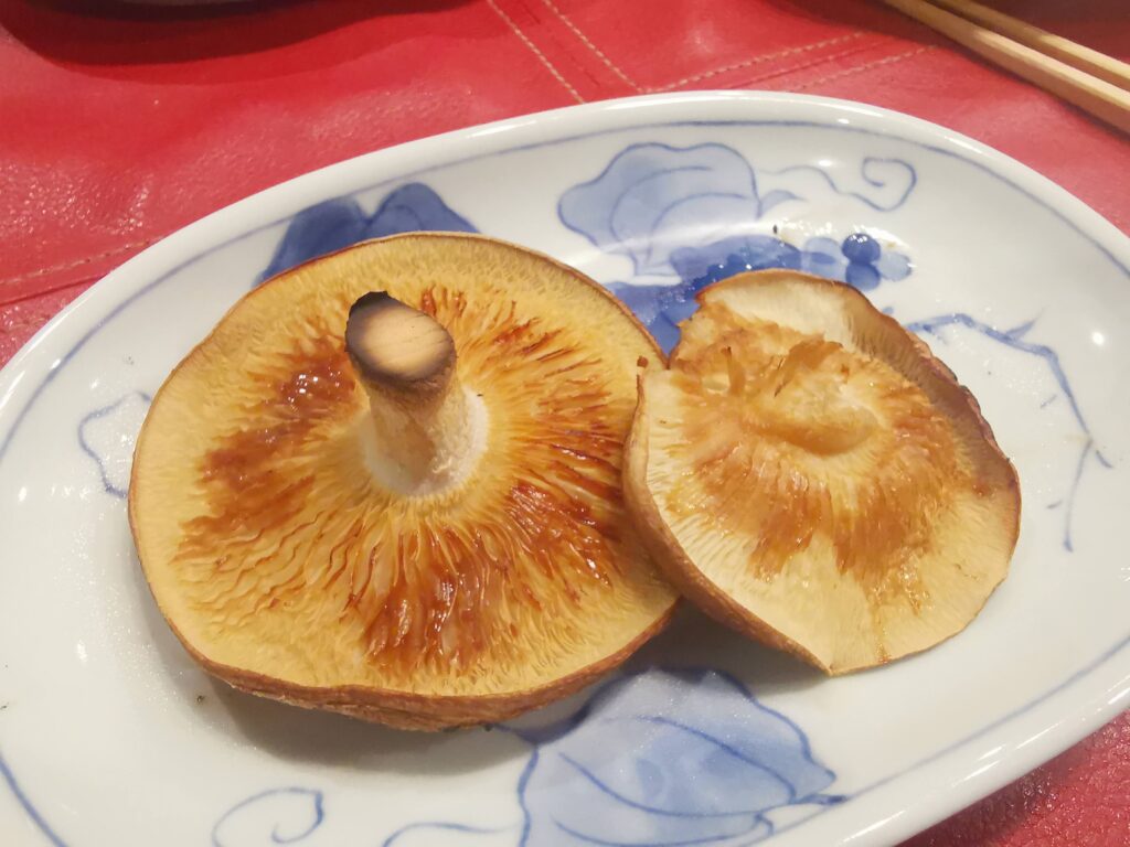 森の暮らし・椎茸が出てました💛