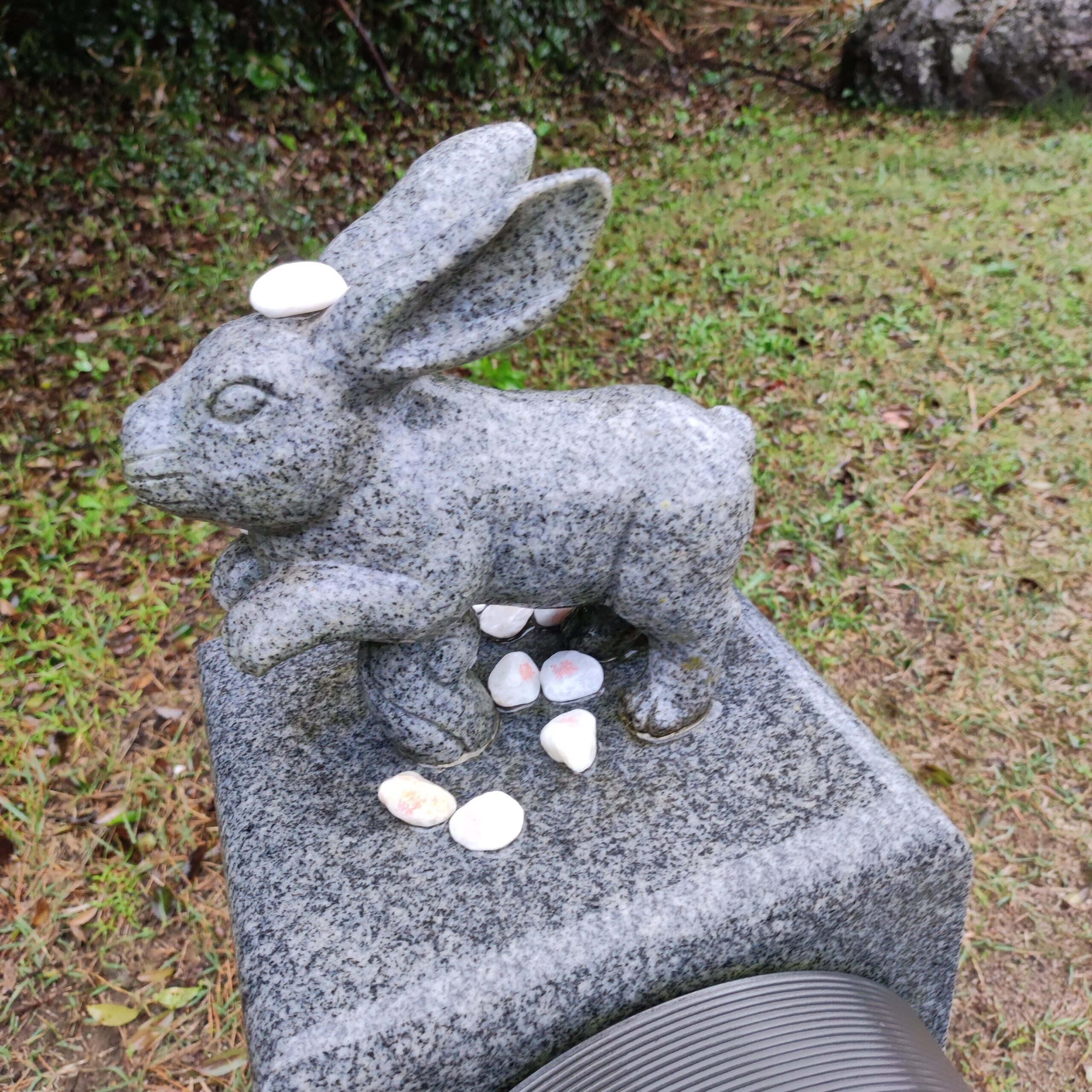 因幡の白うさぎの「白兎神社（はくと）」